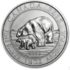 1.5 oz. Silver Canadian Polar & Bear Cub